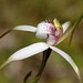 Christine Muir Photo 25