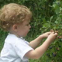 Marlene Bennett Photo 28