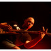 Vincent Roth Photo 30
