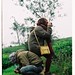 Chau Phung Photo 26