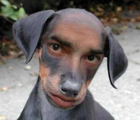 Richard Swartz Photo 5