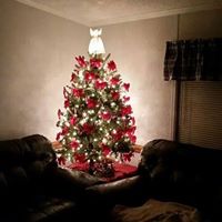 Marlene Murphy Photo 14