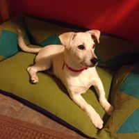 Jeanne Donovan Photo 7