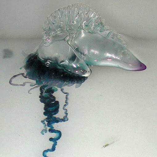 Edward Rutledge Photo 34