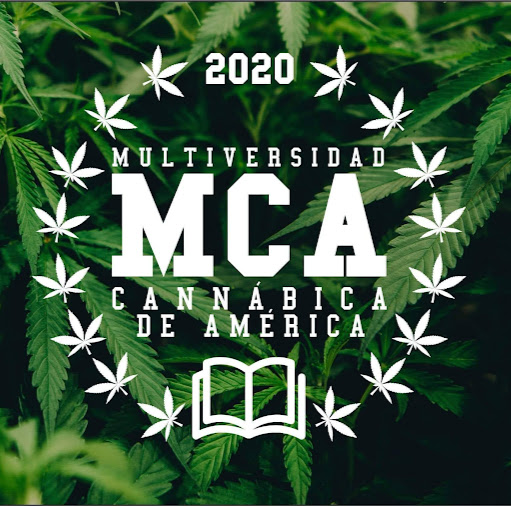 Angel Franco Photo 15