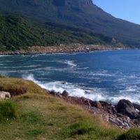 Lorna Parker Photo 7