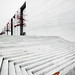 Paul Laub Photo 9