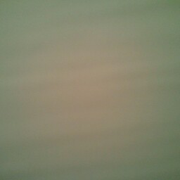 Tammy Fowler Photo 13