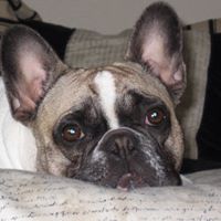 Cynthia Scanlan Photo 4