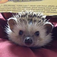 Lauren Armstrong Photo 26