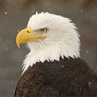 Wanda Price Photo 16