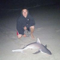 Michael Cortese Photo 26