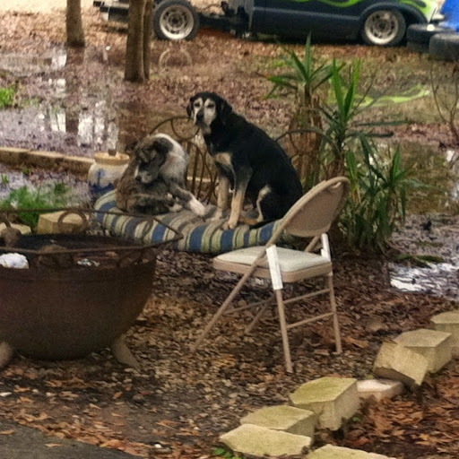 Stephen Griggs Photo 18