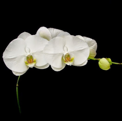 Christine Maria Photo 20