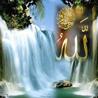 Hassan Zeitoun Photo 9