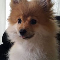 Theresa Donnelly Photo 29