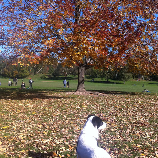 Jennifer Helm Photo 9