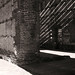 Nicolas Sharp Photo 15