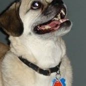 Douglas Robertson Photo 45 Douglas Robertson Photo 45