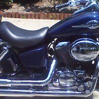 Dale Briggs Photo 13