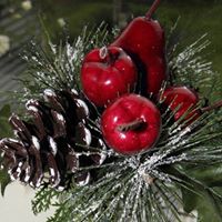 Marie Slade Photo 11