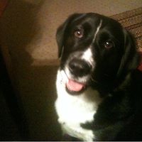 Elizabeth Beyer Photo 46