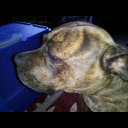 Jason Emmons Photo 29