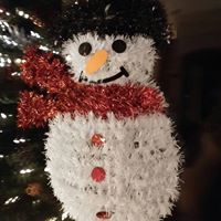 Cindy Robertson Photo 5