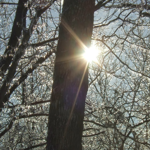 Stephen Spaulding Photo 36