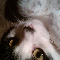 Richard Mcgowan Photo 22