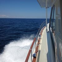Steve Spaulding Photo 22