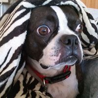 Helen Sanders Photo 15