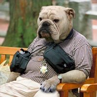 Leroy Sheppard Photo 7