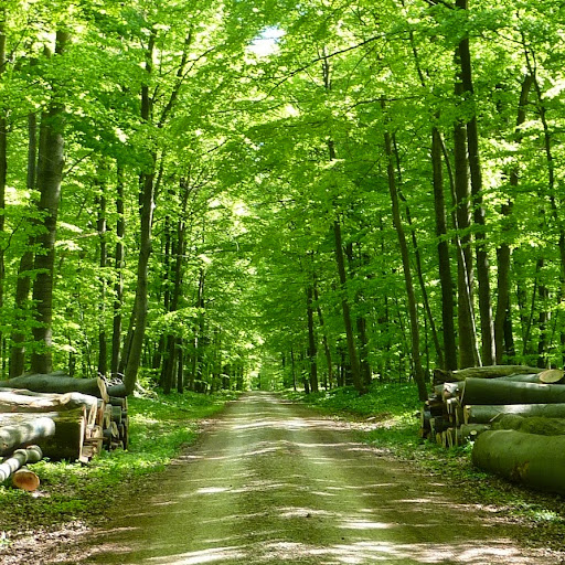 Martin Berger Photo 23 Martin Berger Photo 23