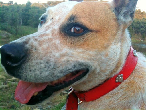 Shirley Blair Photo 7