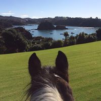 Lisa Forester Photo 12