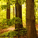 Joseph Grove Photo 8
