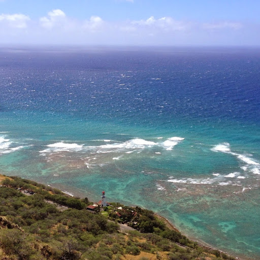 Laura Frank Photo 42