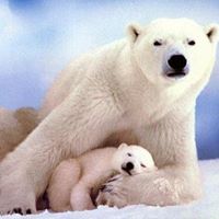 Janice Bowden Photo 7