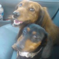 Maryann Cook Photo 16