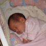 Joshua Adkins Photo 24