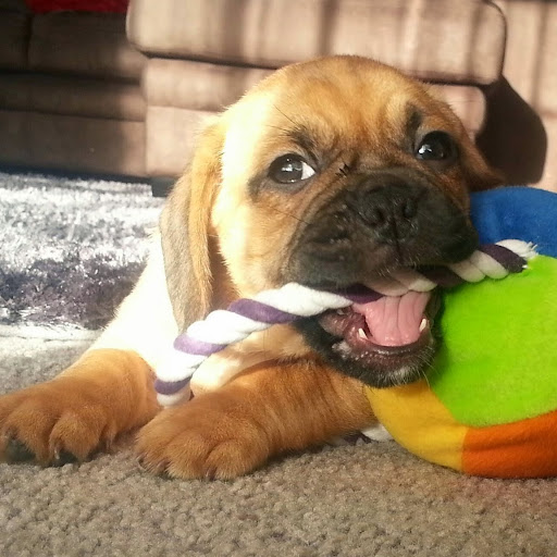 Helen Lewis Photo 21