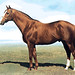 Earnest Sharp Photo 4