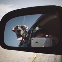 Marc Atkinson Photo 23