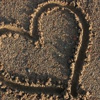 Katherine York Photo 40