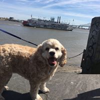 Candice Wise Photo 7