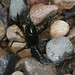 Joseph Spicer Photo 13