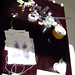 Jill Hecker Photo 7