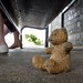Tracy Bear Photo 26