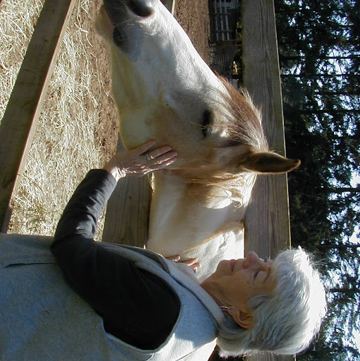 Sharon Dougherty Photo 7